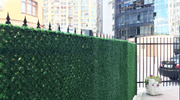 Зеленый забор - декоративные ограды